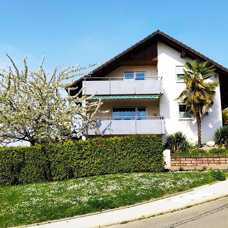 Haus Kramer Daire Bad Bellingen Dış mekan fotoğraf