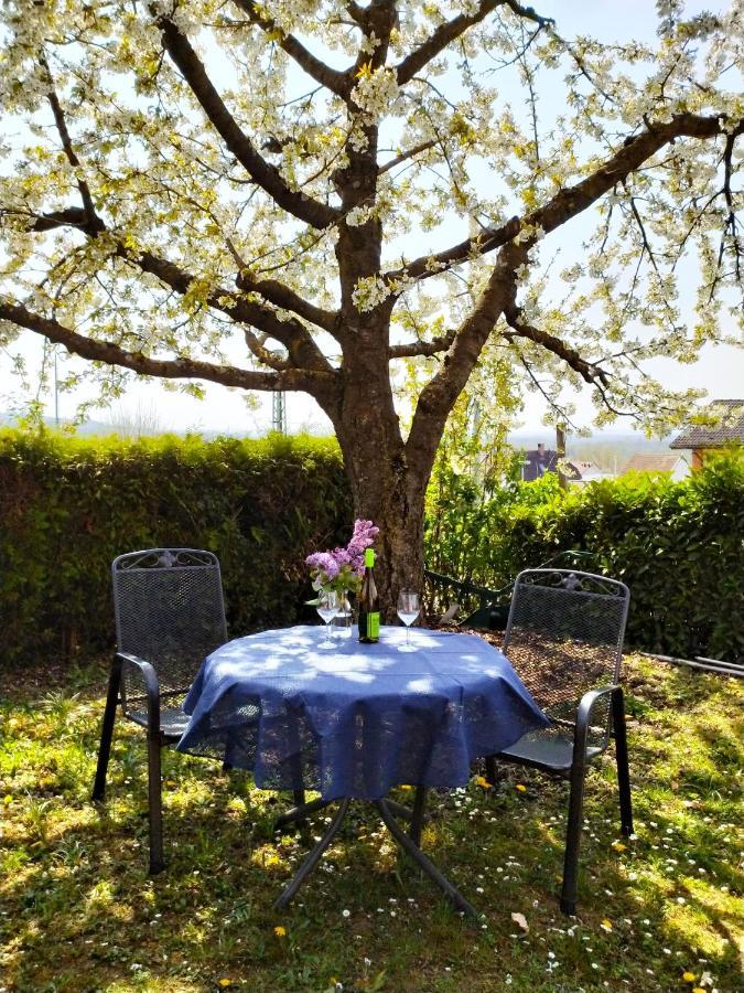 Haus Kramer Daire Bad Bellingen Dış mekan fotoğraf